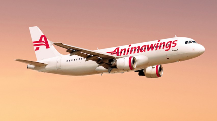 Animawings A320