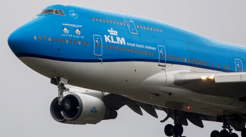 KLM panda