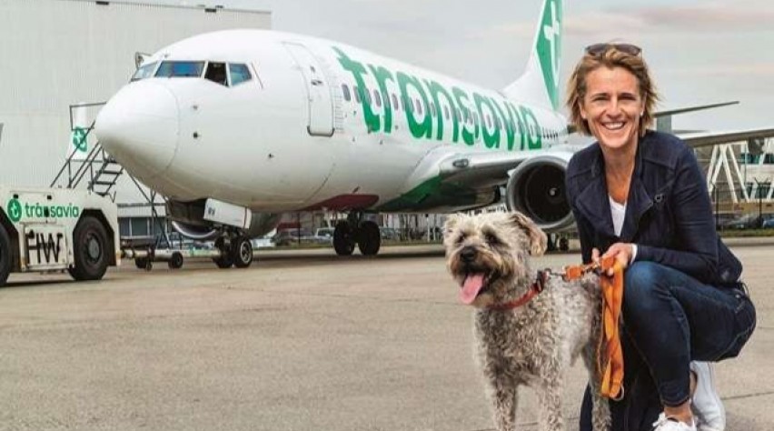 Dierendag bij Transavia