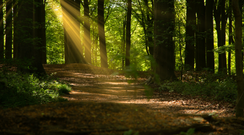 Foto (c) Unsplash