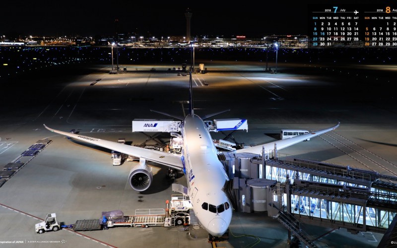 ANA Boeing 787