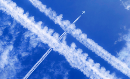 (c) Shutterstock