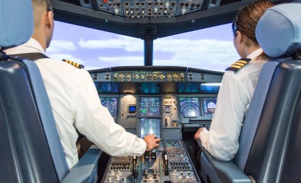 Flight simulator