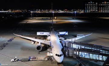 ANA Boeing 787