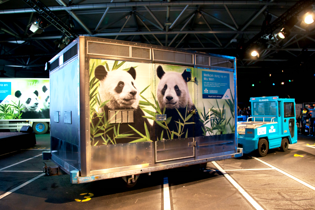 KLM panda