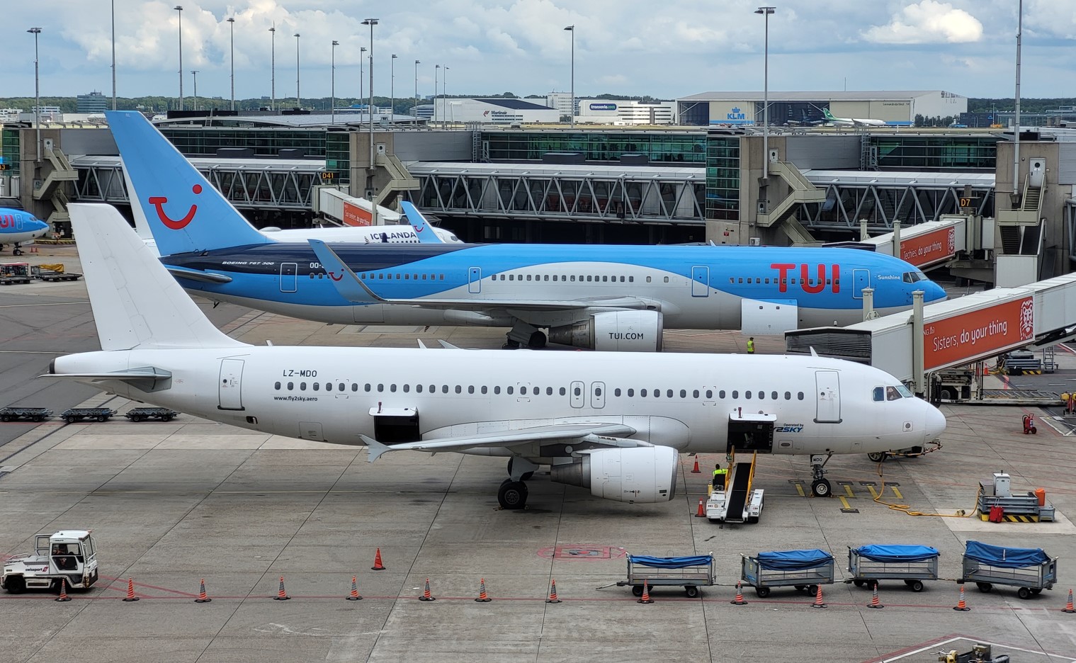 Luchtvaart Slager genoeg TUI komt bagage thuis ophalen | Luchtvaartnieuws